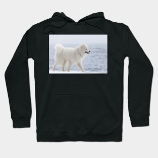 Kaiku at the lake Hoodie